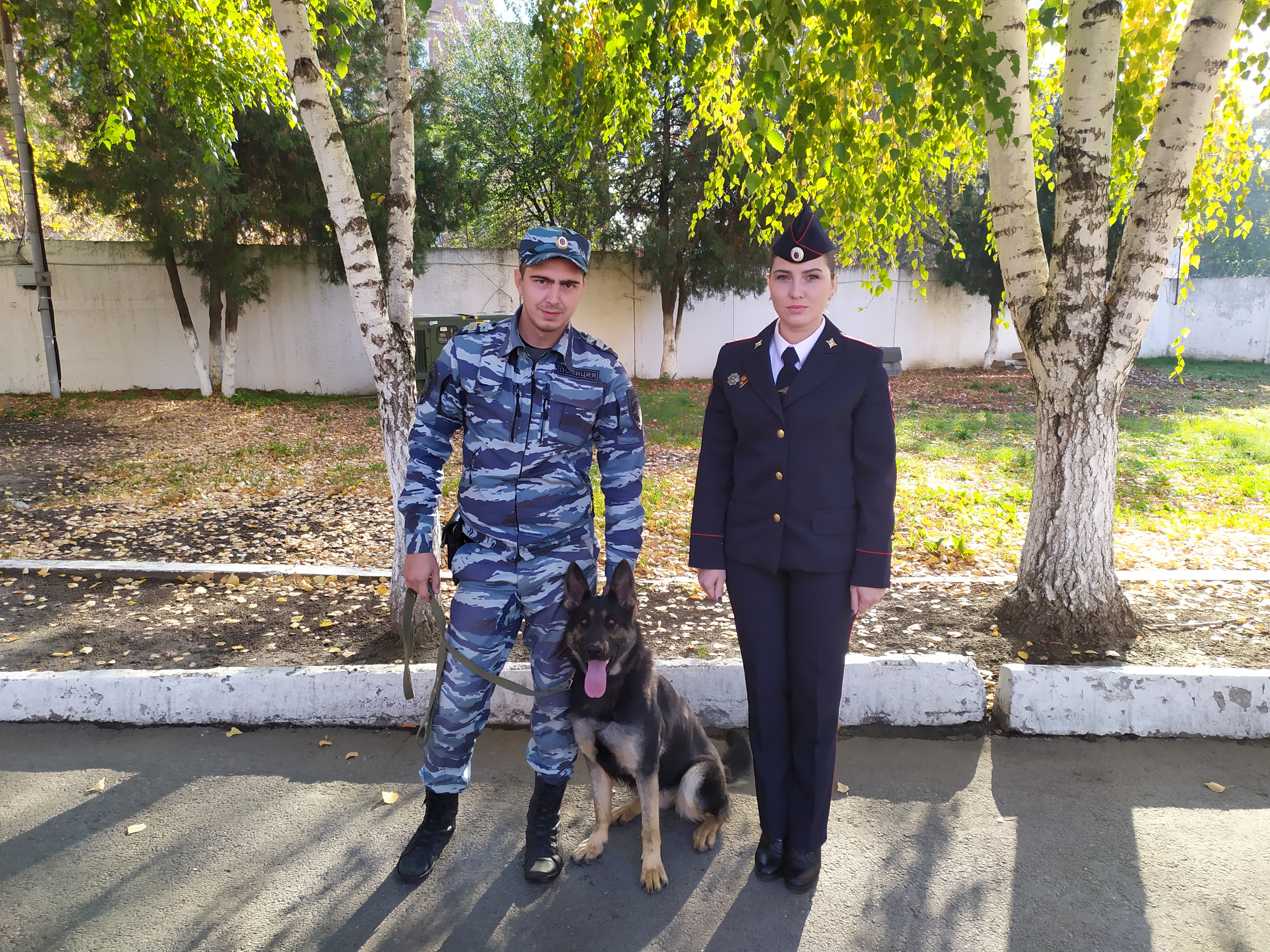 Полицейская собака Тайра помогла найти устьлабинку