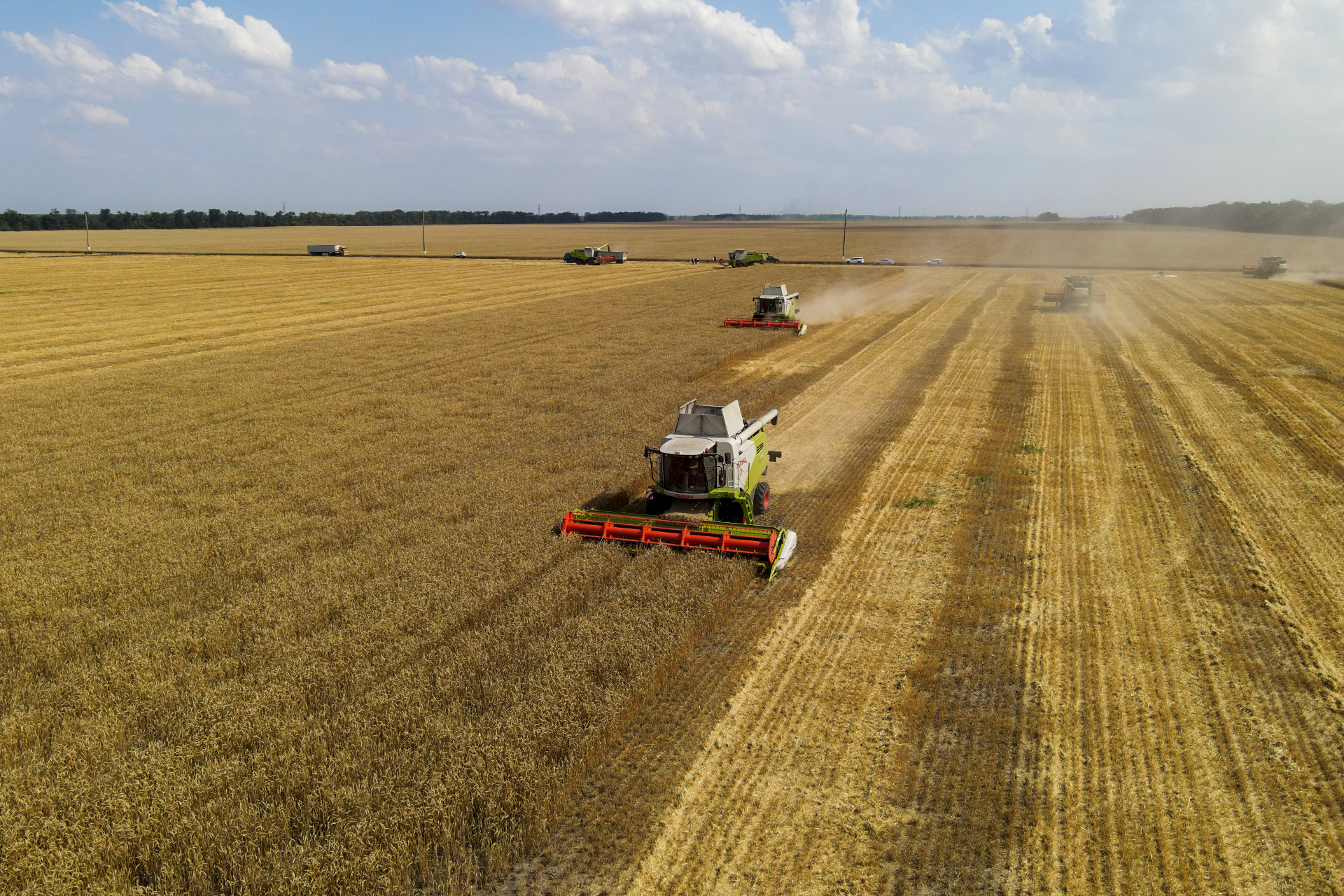     В Усть-Лабинском районе продолжается уборка озимой пшеницы