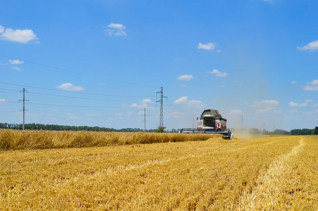 Специалисты «Россети Кубань» напоминают о важности соблюдения требований безопасности во время проведения сельскохозяйственных работ