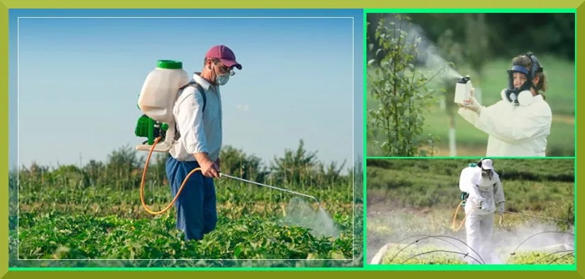 Пестициды и агрохимикаты 