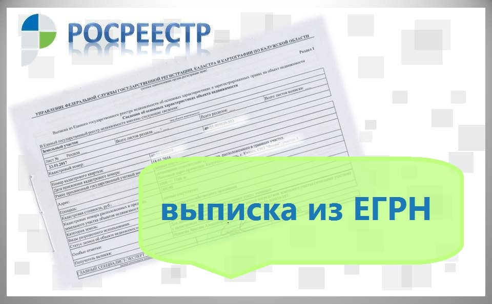 Выписку из ЕГРН можно получить в Личном кабинете налогоплательщика