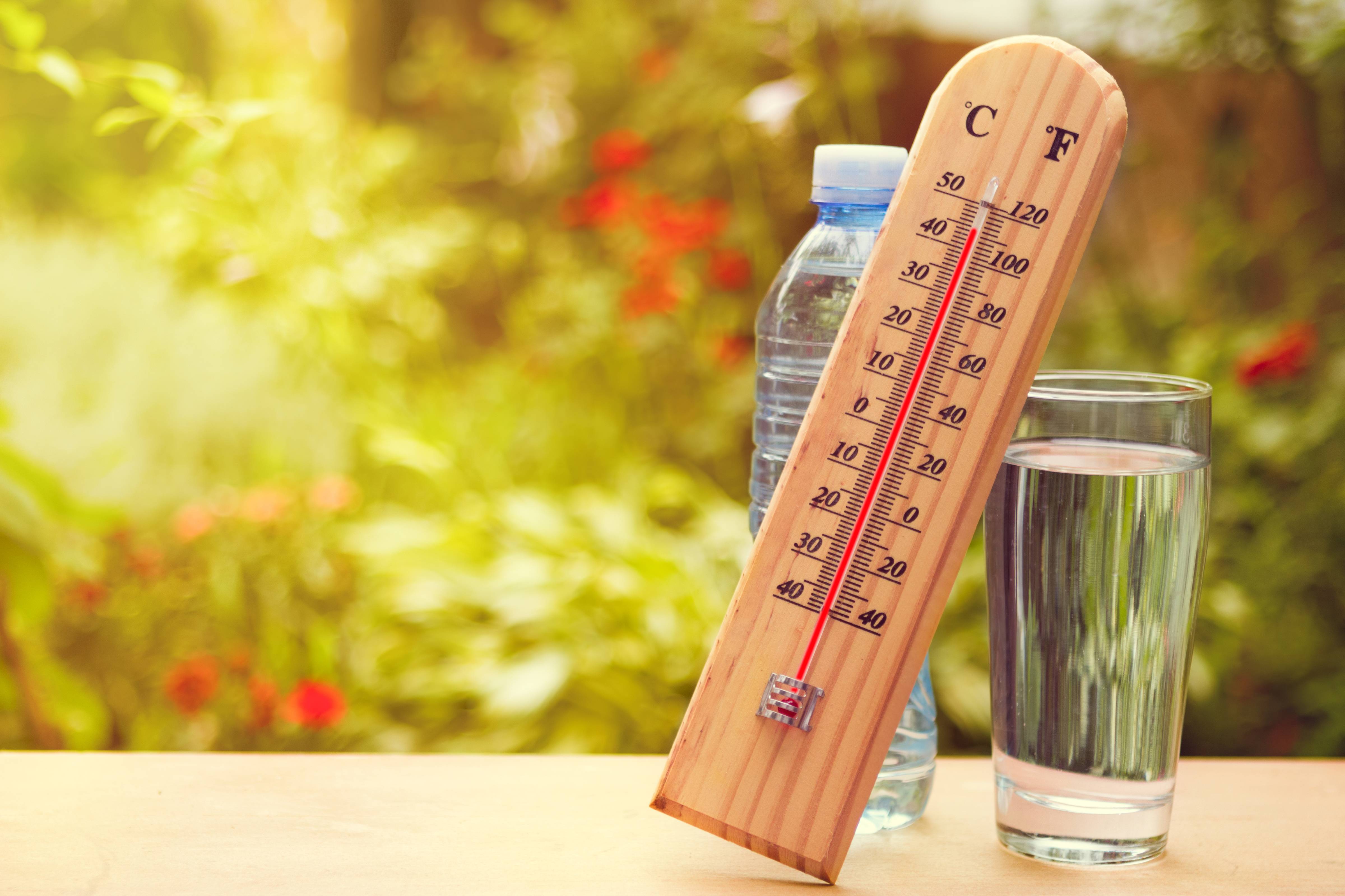 «Гигиенические рекомендации к питанию в условиях жаркой погоды»