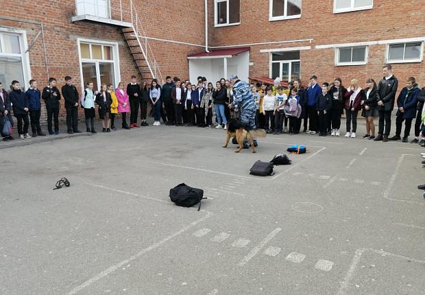 Служебные собаки побывали в гостях у школьников Усть-Лабинска